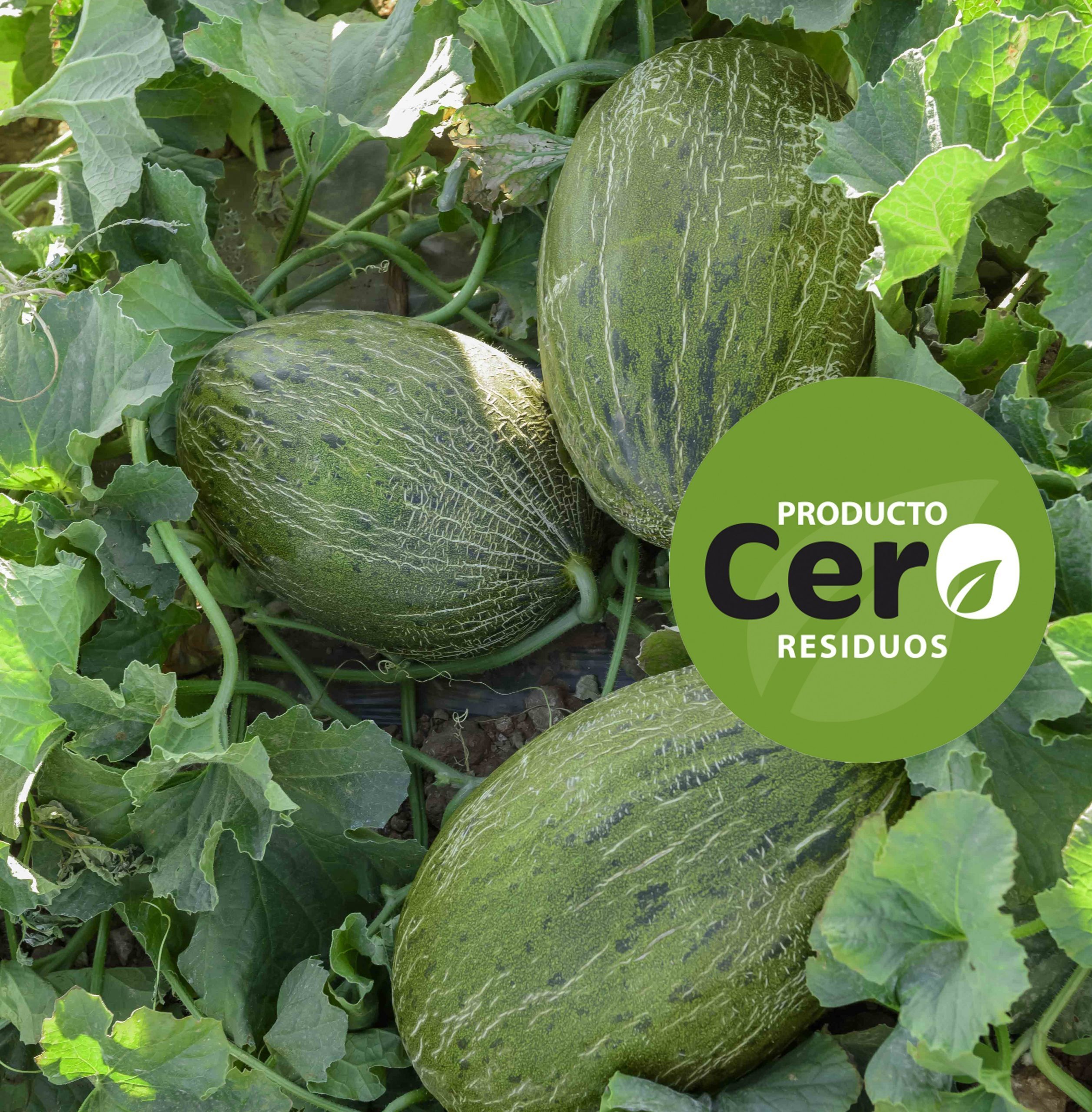 PERIS Zero Residue Melon, a successful campaign