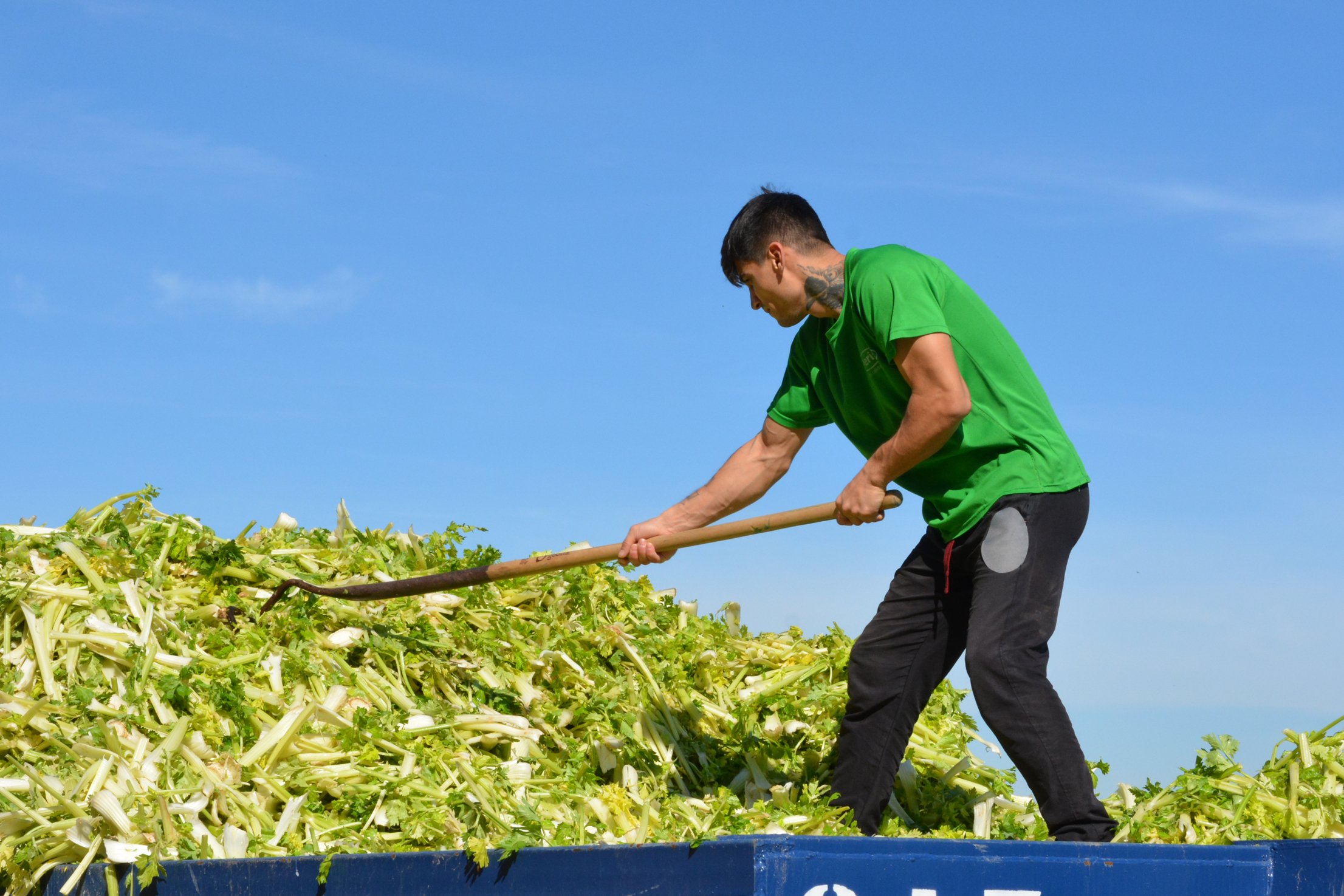 Restos de la industria agroalimentaria gestionados con un fin útil