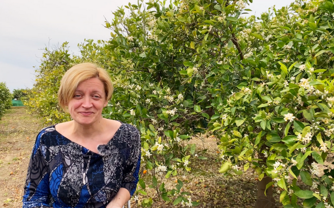 Peris Team: Pilar Sánchez, responsible for the cleaning team