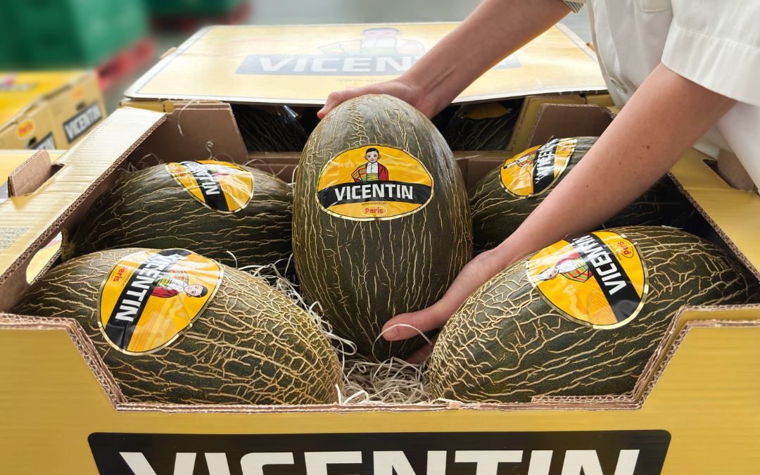 Notre meilleure saison de melons gourmands depuis cinq ans